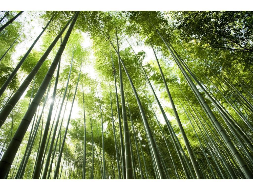 Ranzan Hotel Kyoto Eksteriør billede